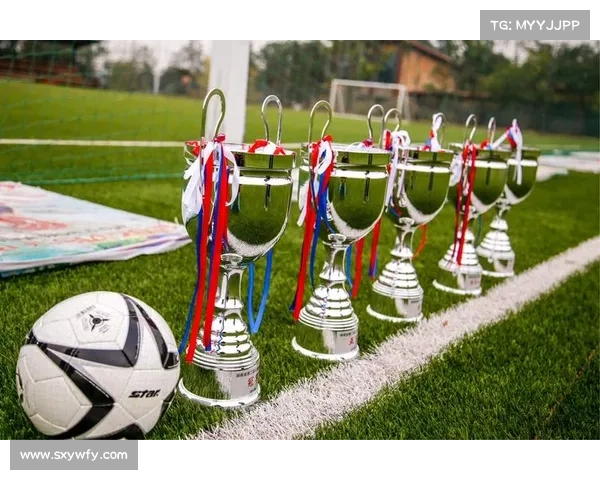 足球各大赛事-足球各大赛事奖杯叫什么
