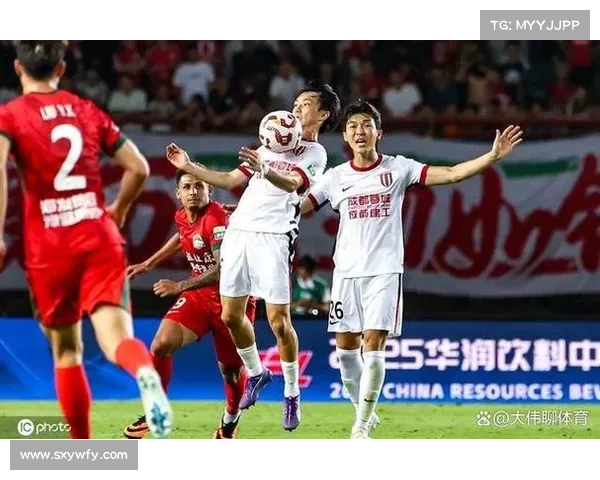 韩国K联赛2025赛季精彩赛事前瞻球队实力分析及冠军预测